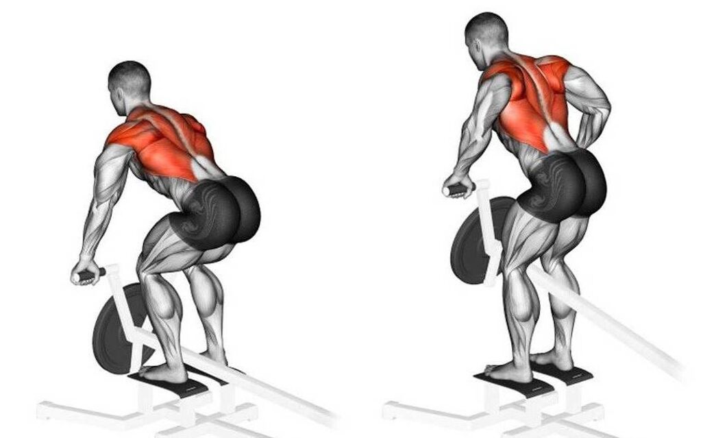 exercise to strengthen the back muscles