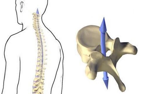 How is the spine doing