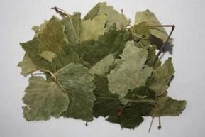 birch leaves for the treatment of arthrosis