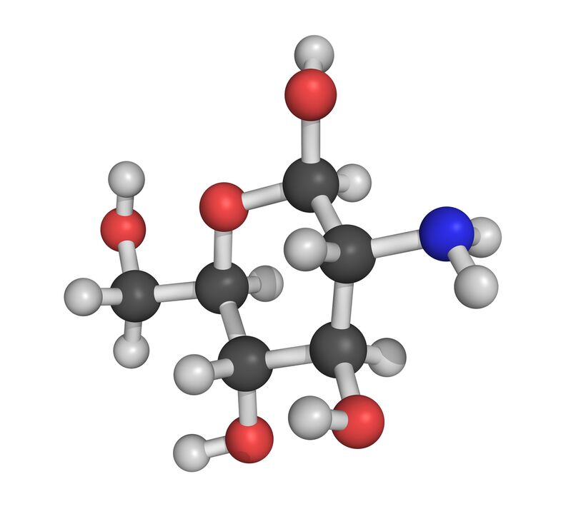 chondroitin - an element of HondroFrost composition